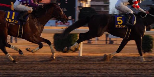 【川崎マイラーズ予想2016】ブルーチッパー逃げきれるか？