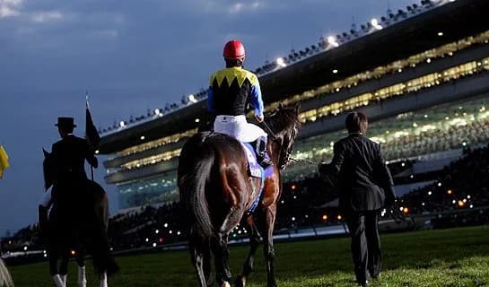 31日、大阪市にて「ディープインパクト追悼競馬講談会」が開催