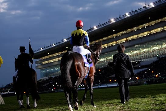 ディープインパクトの後継者はディープブリランテやキズナだけとは限らない？