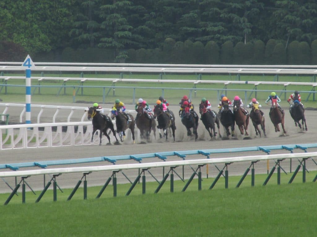 【平安S2016】ドコフクカゼ、強豪打ち破り秋の大レースへ繋げ！