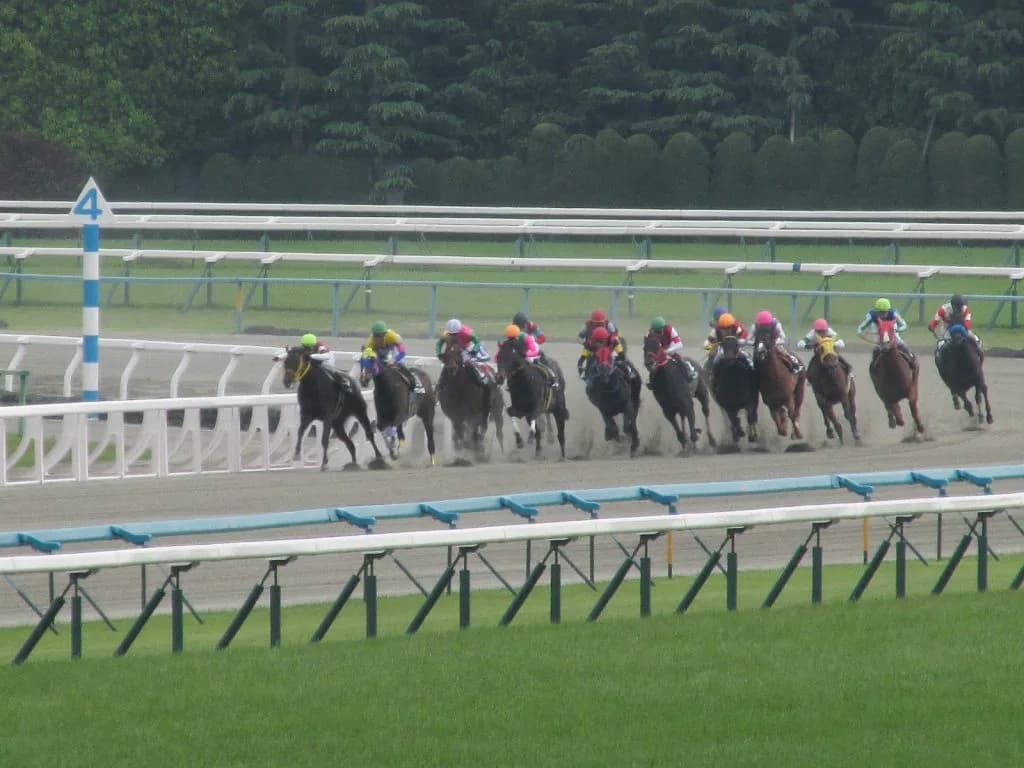 【平安S2016】ドコフクカゼ、強豪打ち破り秋の大レースへ繋げ！