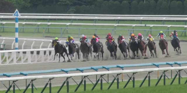 【平安S2016】ドコフクカゼ、強豪打ち破り秋の大レースへ繋げ！