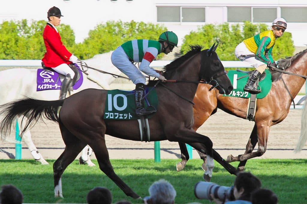 【日本ダービー2016出走馬】伏兵に甘んじる良血馬プロフェットの巻き返し