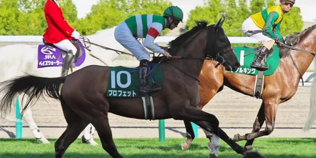 【日本ダービー2016出走馬】伏兵に甘んじる良血馬プロフェットの巻き返し