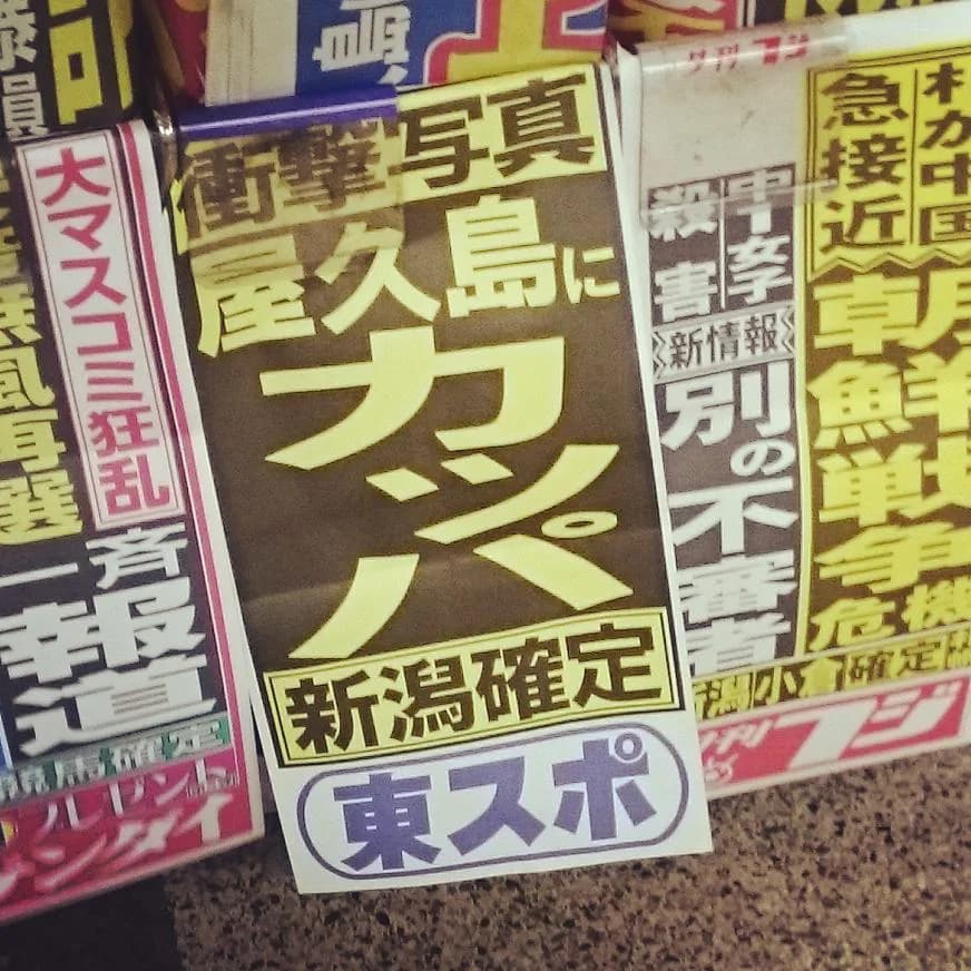 競馬情報充実、読み応え十分の東スポ。