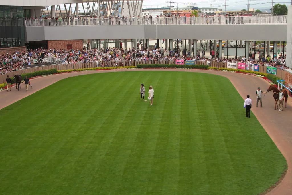 パドックにいる様々な方たち。みなさんはどのように過ごすでしょうか？