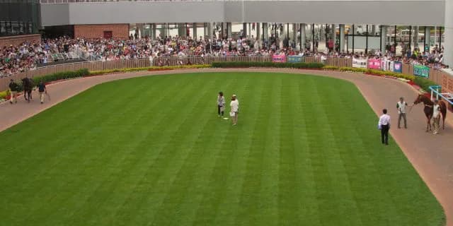 パドックにいる様々な方たち。みなさんはどのように過ごすでしょうか？