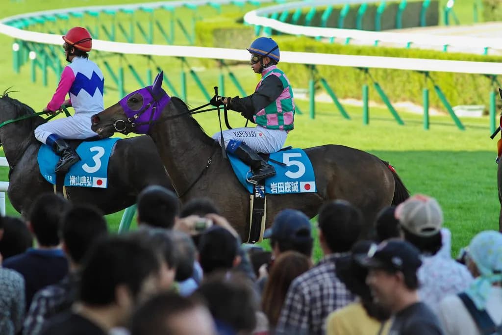 【京都・白川特別】岩田、メイショウコルノでここから重賞戦線殴りこみだ！