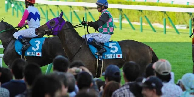 【京都・白川特別】岩田、メイショウコルノでここから重賞戦線殴りこみだ！