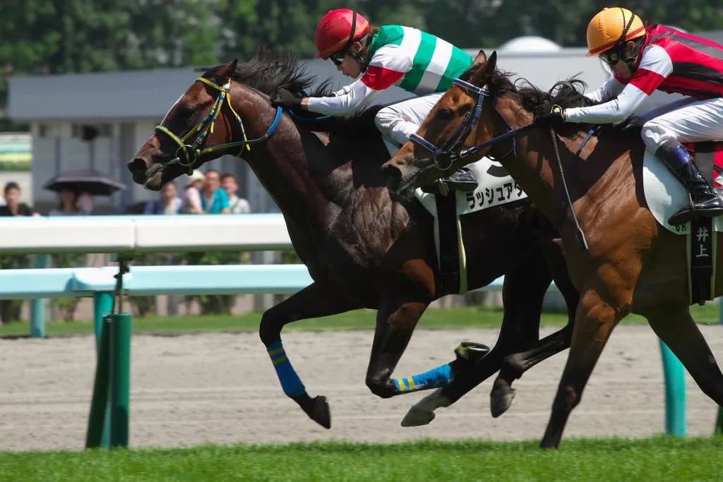 重賞よりも面白い栗東Sでナガラオリオンにご注目