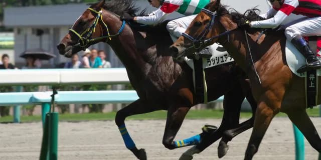 重賞よりも面白い栗東Sでナガラオリオンにご注目