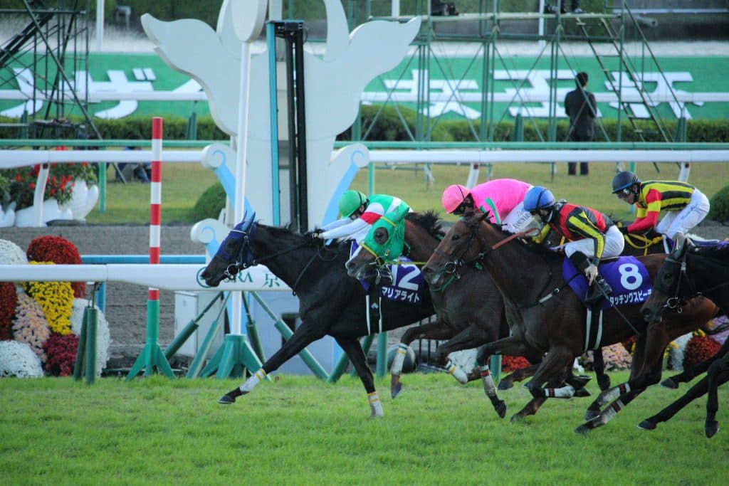 【目黒記念2016予想】実績面では抜けているマリアライト復権なるか？