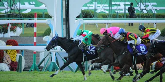 【宝塚記念2016】夏は牝馬か！？タッチングスピーチ、マリアライト考察