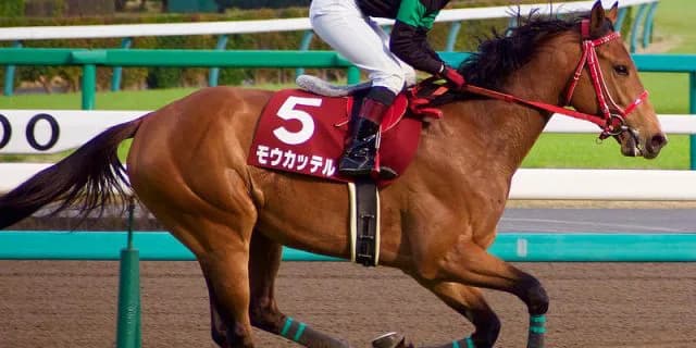 【目黒記念2016予想】藤田菜七子、サイモントルナーレで重賞2度目の挑戦！