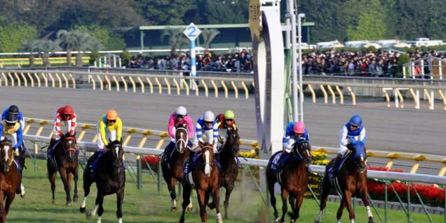 【NHKマイルC予想2016】トウショウドラフタ初志貫徹、マイルで力発揮できるか？