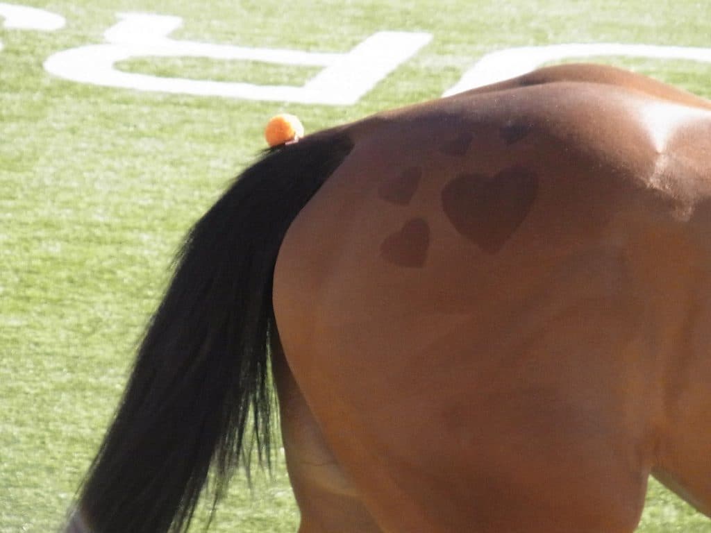 【欅S2016予想】ハイペース必至。後方一気炸裂なるか？