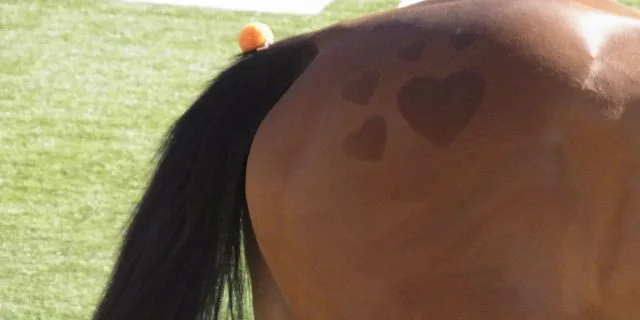 【欅S2016予想】ハイペース必至。後方一気炸裂なるか？