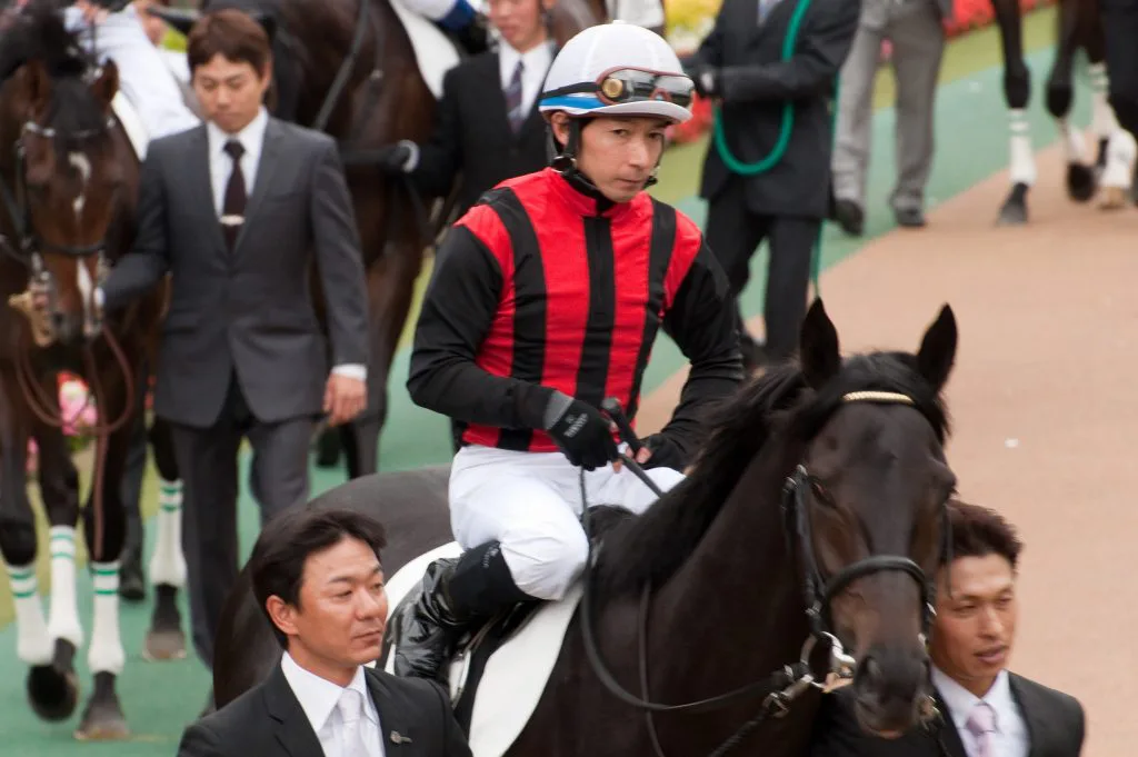 【NHKマイル2016予想】新星ハクサンルドルフが未知の魅力で実績馬達をまとめて差し切る！？