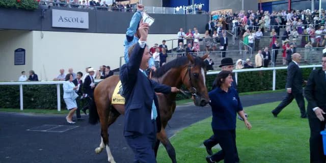 今ひとつブレイクできない？ハービンジャー産駒の可能性について探る