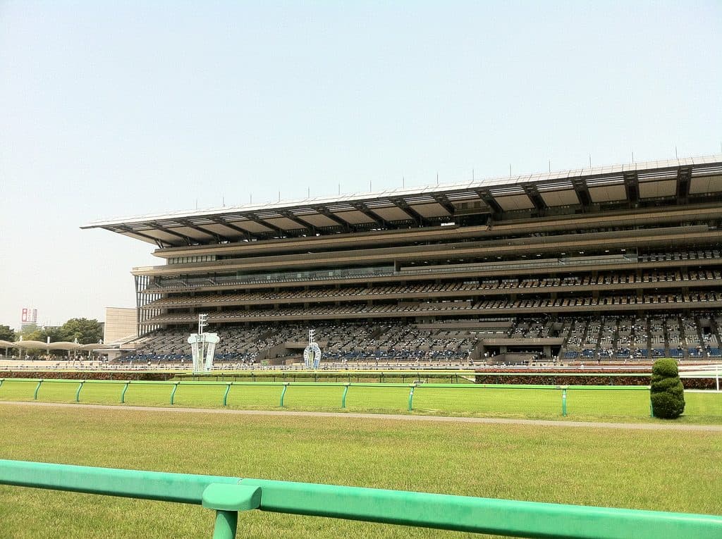 【クイーンC予想2018】マウレア、得意の東京マイルで本領発揮だ