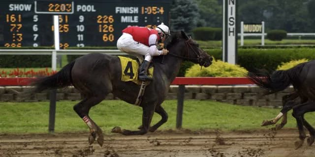 皆さんはWIN5をするだろうか？