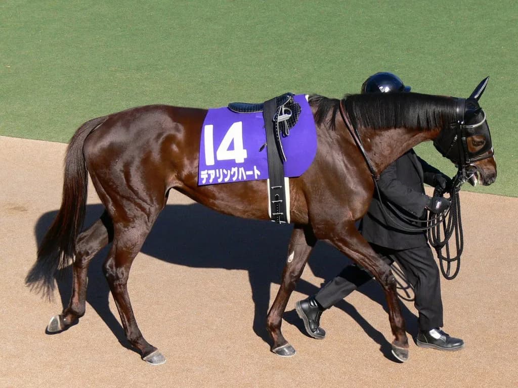 オークスからNHKマイルCへ転進したメジャーエンブレムは成功するか？