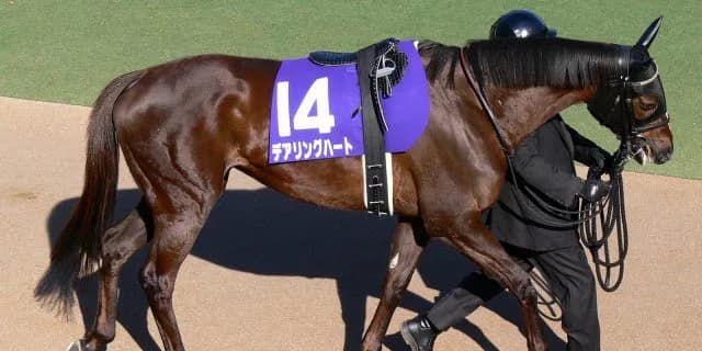 オークスからNHKマイルCへ転進したメジャーエンブレムは成功するか？