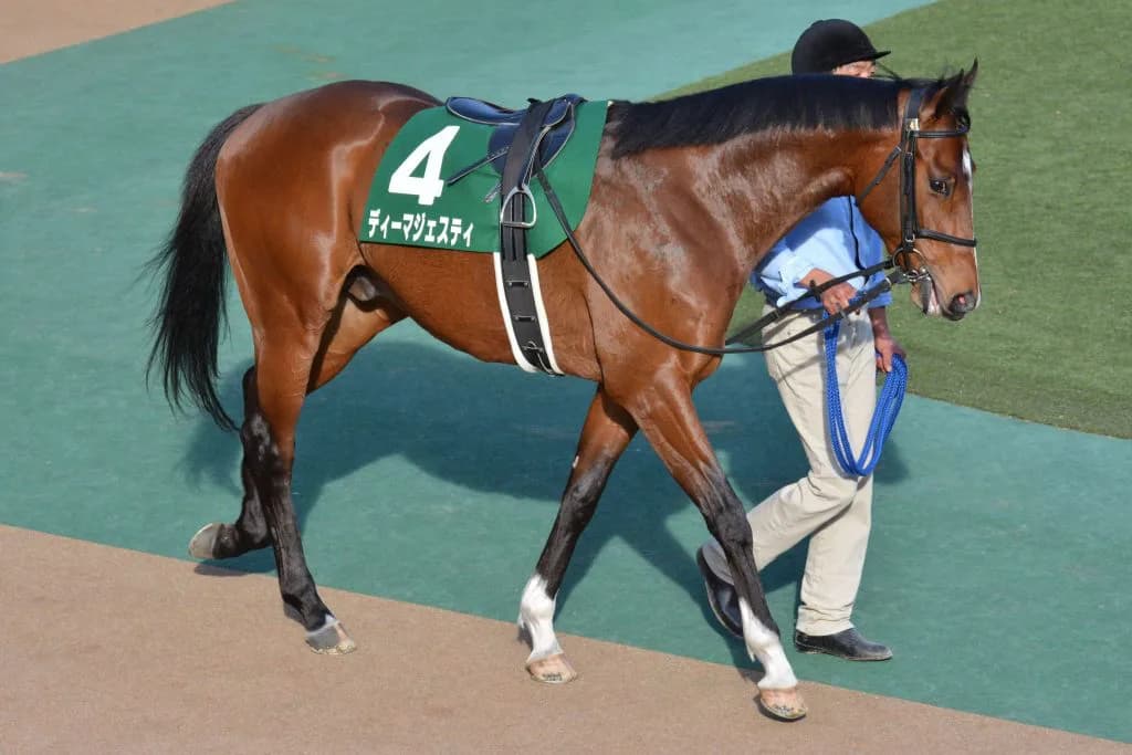 ディーマジェスティ引退、今後は種牡馬に