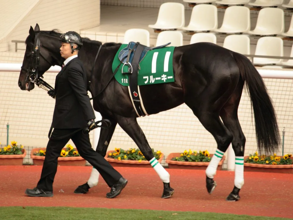 【新潟大賞典2016予想】非常に難解なG3の注目馬3頭