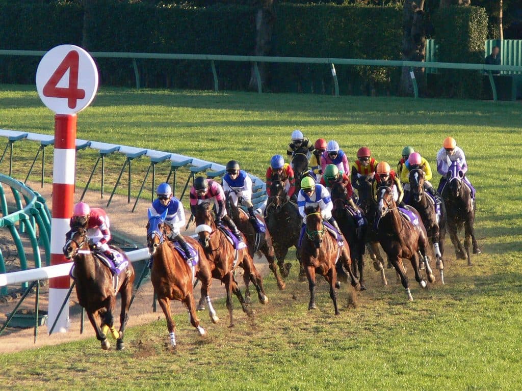 【北九州記念2016予想】夏女ベルカントに挑む！格上挑戦でV狙うオウノミチ