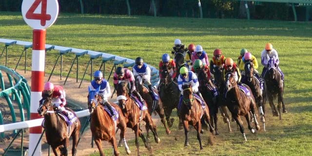 ダービーに駒を進められなかった馬たちの白百合S