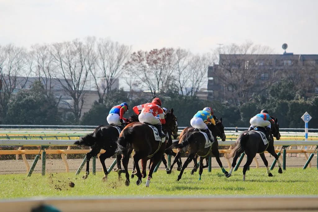 【かしわ記念2016予想】新王者モーニン、新旧ダート王対決を制し中央地方競馬を制圧か！？