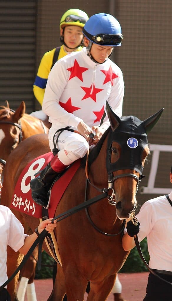 【ヴィクトリマイル2016予想】各世代代表ミッキークイーン・Sパンドラ・Sレイアー・Sガール、勝つのはどの馬だ！？