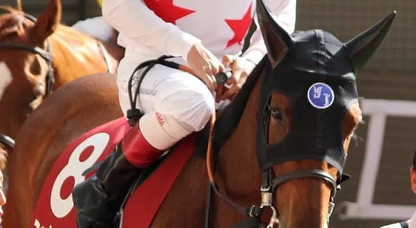 【ヴィクトリマイル2016予想】各世代代表ミッキークイーン・Sパンドラ・Sレイアー・Sガール、勝つのはどの馬だ！？