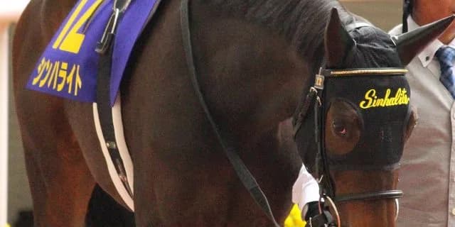 【オークス2016予想】2400mへの距離適性・シンハライトとチェッキーノのジャッジは？！