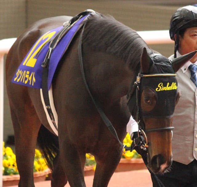 【オークス2016予想】2400mへの距離適性・シンハライトとチェッキーノのジャッジは？！