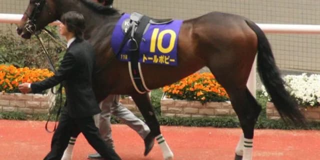 やったもん勝ち？今の裁定ルールについて