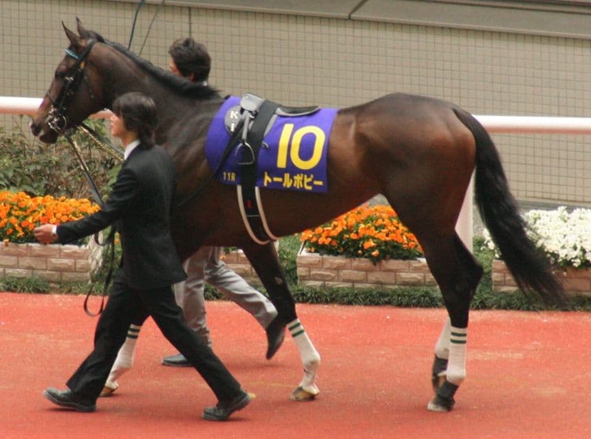 やったもん勝ち？今の裁定ルールについて
