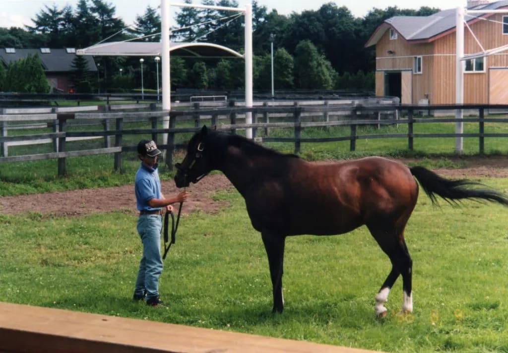 【日本ダービー2016出走馬】マイルまでしか実績を示せていないブレイブスマッシュが勝つために必要な要素