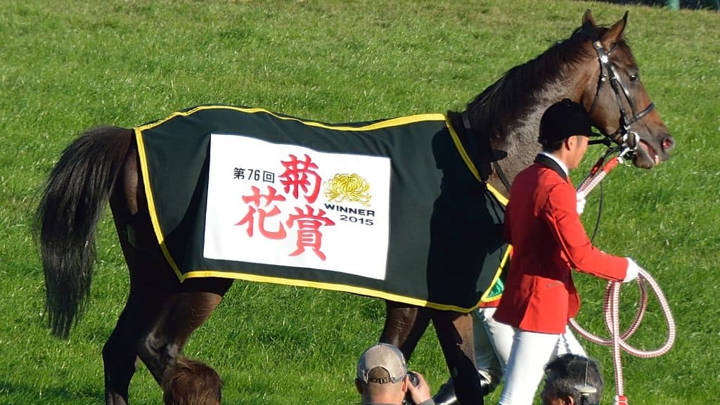 【夏木立賞予想】早くも菊花賞候補！？良血統のデナリに注目。