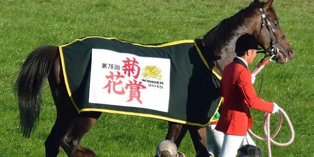 【夏木立賞予想】早くも菊花賞候補！？良血統のデナリに注目。