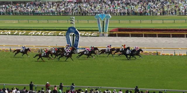 【雲雀S予想2017】中山1200mのスペシャリストが東京コースで真価を問われる