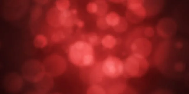 日本ダービー血統的考察！ディーマジェスティの隠れた血統秘話とは・・・？