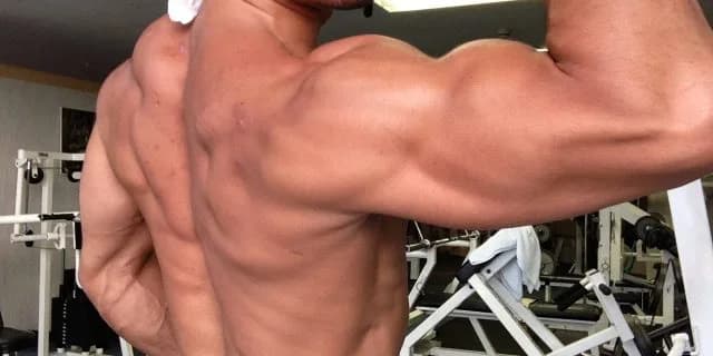 【東京1600ダート】素質3歳馬ベストマッチョが挑む三浦特別