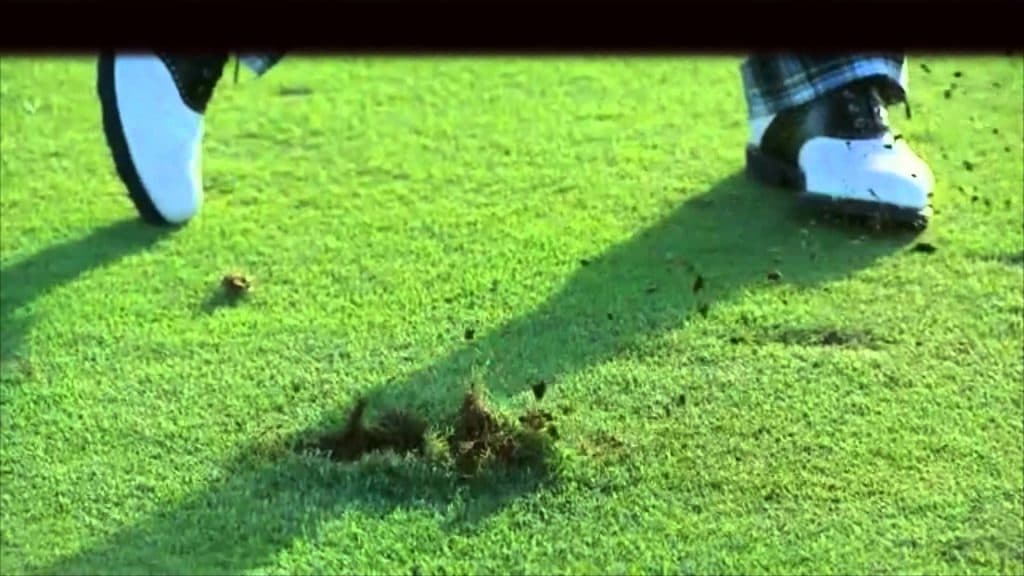 【平安S2016予想】適応力のあるトップディーヴォがディヴォ！っと、穴を開けるでしょう！