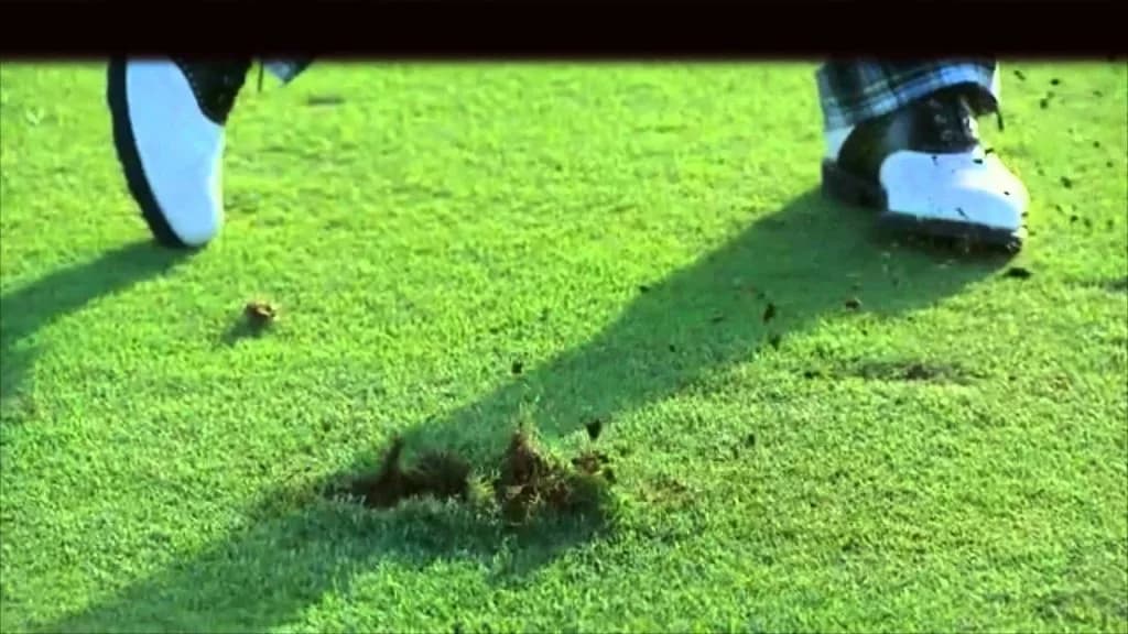 【平安S2016予想】適応力のあるトップディーヴォがディヴォ！っと、穴を開けるでしょう！