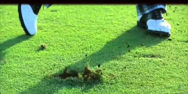 【平安S2016予想】適応力のあるトップディーヴォがディヴォ！っと、穴を開けるでしょう！