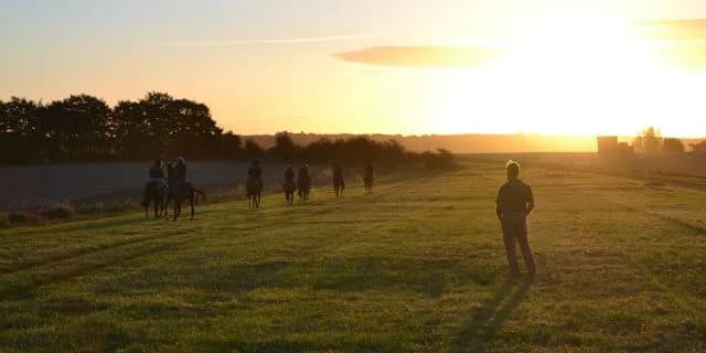 3代目ヒシマサルが今年の2歳馬にいる？！