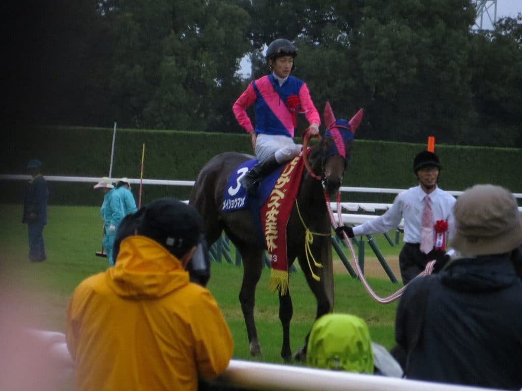 【安田記念2016速報】メイショウマンボ、態勢整わず回避