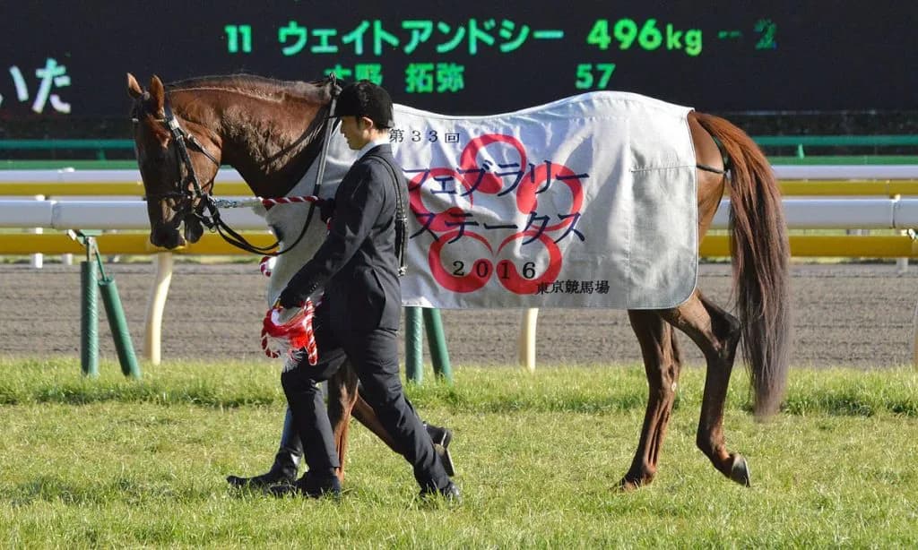 【武蔵野S予想2017】モーニン復活の立役者となるのはこの男か？